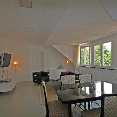 Business Apartment Deluxe Baden-Baden Zimmer foto